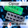 Cipvar new04